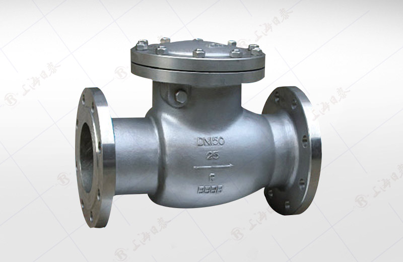 Stainless Steel Swing Check Valve