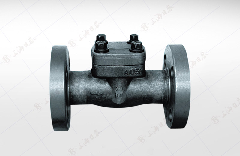 API Forged Steel Flange Check Valve