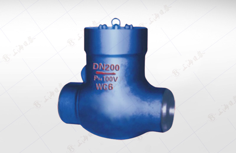 High Pressure Power Station Check Valve